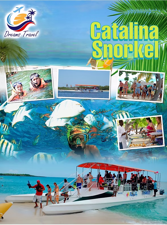 Excursión de snorkel en la isla Catalina, Caribe dominicano