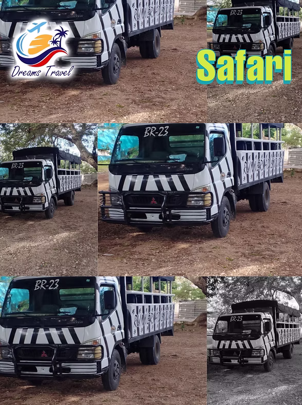 Tour safari por la naturaleza tropical de República Dominicana