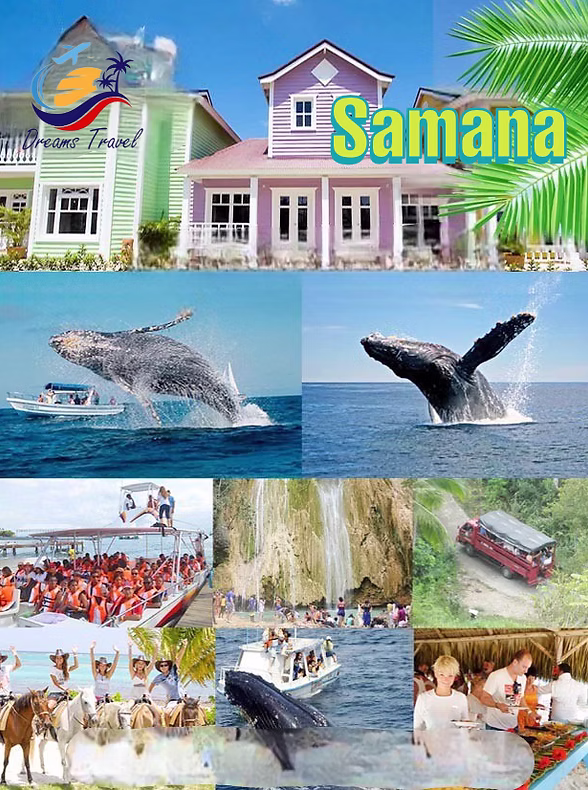 Ballenas jorobadas y naturaleza tropical en Samaná, República Dominicana